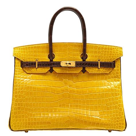 hermes yellow bag ad|hermes clutch price list.